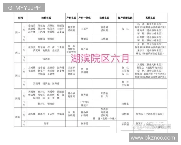 英超专家分析杭州羽毛球队独特进攻战术与技巧解析 英超专家分析杭州羽毛球队独特进攻战术与技巧解析