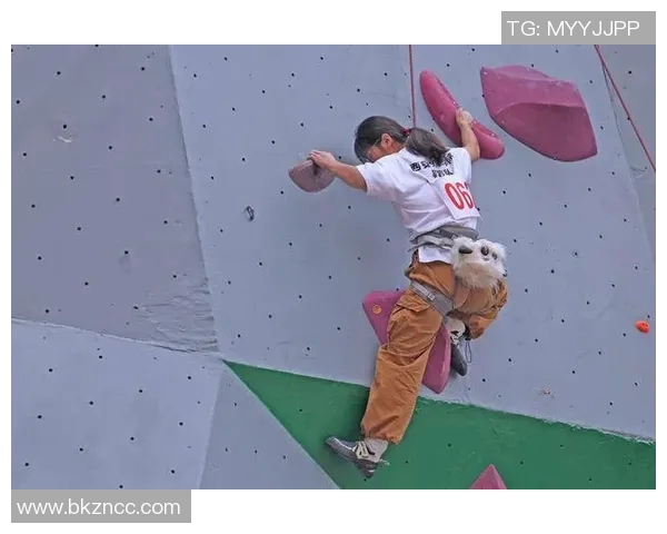 西安攀岩队实力表现分析及运动数据解读探讨